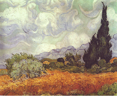Wheat field with Cypresses